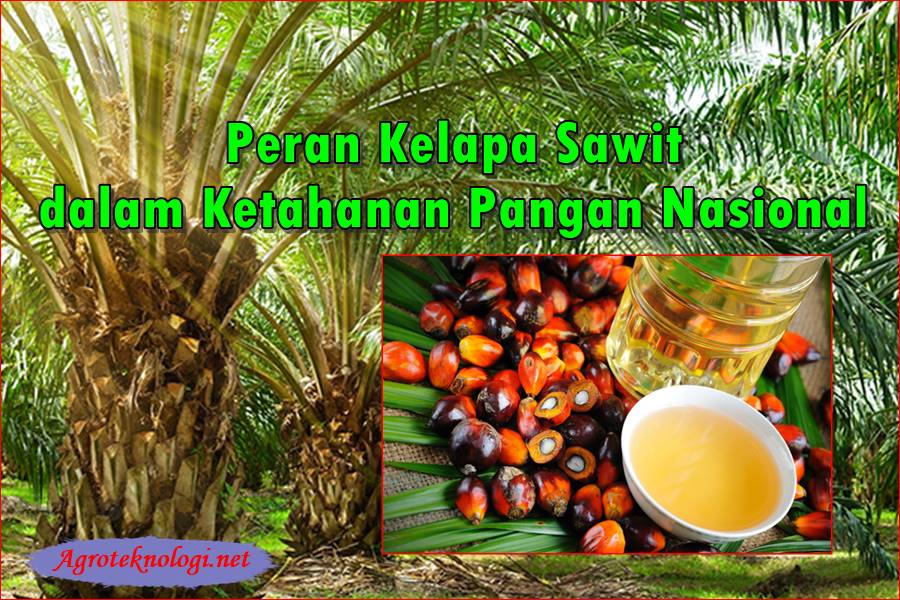 8 Peran Kelapa Sawit dalam Ketahanan Pangan Nasional