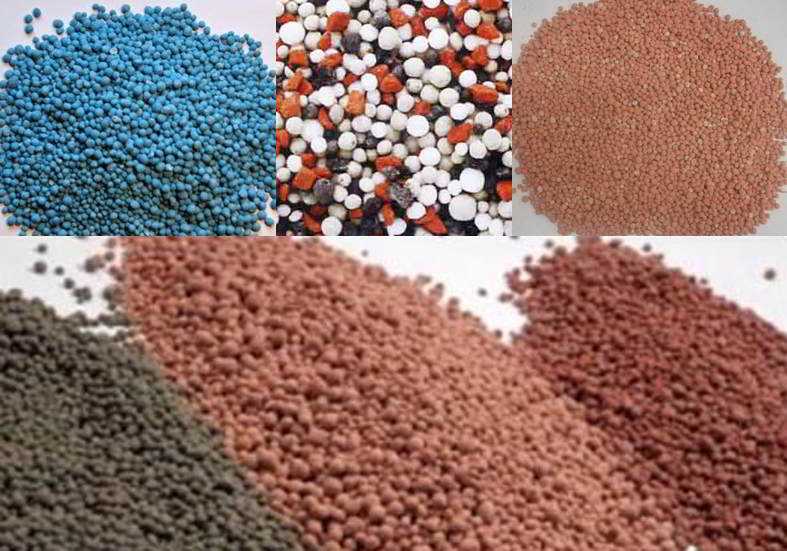 Jenis Pupuk Terbaik untuk Meningkatkan Produksi Karet